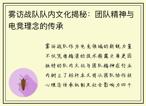 雾访战队队内文化揭秘：团队精神与电竞理念的传承
